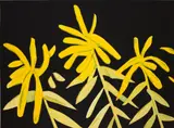 Alex Katz, Goldenrod, from Flowers, 2021, Archival pigment print in colors, on Innova Etching Cotton Rag paper, the full sheet
