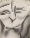 Jim Shaw, Face in the Mirror