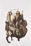Nick Cave, Amalgam (brown) (T. 15-301), 2015, Lithograph in colors, on Somerset paper, with full margins