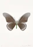 The Souls IV - Chocolate/Silver Gloss/Leaf Green by Damien Hirst, 2010, Foil block print in colors, on Arches 88 archival paper, with full margins, sold Oct 2023