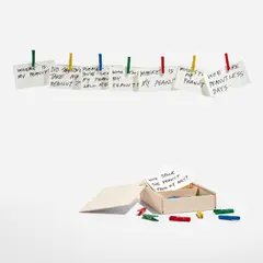 Rachel Harrison, where's my fucking peanut, 2012, The complete set of 26 inkjet prints, on wove paper, accompanied by 32 wooden clothespins, all contained in the original wooden box