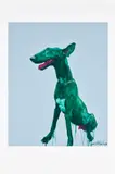 Zhou Chunya, Green Dog, 2008, Screenprint in colors, on wove paper, with full margins