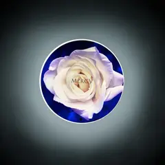 Donald Moffett, Mercy, 1991, Translucent circular photograph mounted on a lightbox