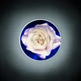 Donald Moffett, Mercy, 1991, Translucent circular photograph mounted on a lightbox