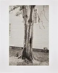 David Hammons, Money Tree (P. 31), 1992, Sepia print