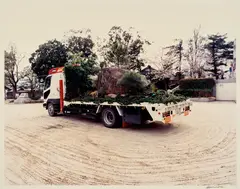 Mobile Garden by David Hammons, 1998, Chromogenic print, sold Sep 2023