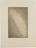 Louise Bourgeois, Progression (MoMA 549.2), 1990, Engraving, on Chine collé to Arches paper, with full margins