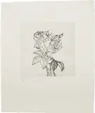 Jim Dine, Roses (D'O. & F. 32), 1978, Drypoint, on John Koller HMP Lexington paper, with full margins