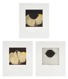 Donald Sultan, Still Life with Pears and Lemons, 1986, The complete set of three prints, one aquatint in black and two photolithographs in colors, one with etching and aquatint, on Somerset paper, with full margins