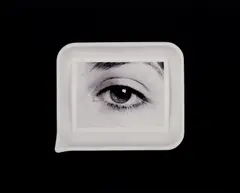 Developing Tray #1 (White) by Anne Collier, 2008, Chromogenic print, sold Apr 2023