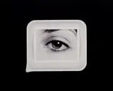 Anne Collier, Developing Tray #1 (White), 2008, Chromogenic print