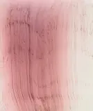 Wolfgang Tillmans, starstruck #2