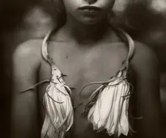 Sally Mann, Night Blooming Cereus, 1988, Gelatin silver print