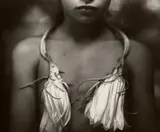 Sally Mann, Night Blooming Cereus, 1988, Gelatin silver print