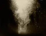Sally Mann, Untitled (Virginia), from Mother Land, 1994, Gelatin silver print, toned with tea, printed 1997
