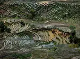 Edward Burtynsky, Rice Terraces #4, Western Yunnan Province, China
