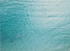 Untitled (#806-04) by Richard Misrach, 2004, Chromogenic print, printed 2005, flush-mounted, sold Apr 2023
