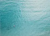 Richard Misrach, Untitled (#806-04)