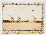 Peter Beard, Giraffes in mirage on the Taru Desert, Kenya
