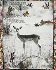 Peter Beard, Impala, 1960, Unique gelatin silver print with applied watercolor, tempera paint, and original drawings by the artists Kivoi Mathenge, E. Mwangi Kuria, and Mutasa Isaiya of the Hog Ranch Art Department, executed no later than 2007