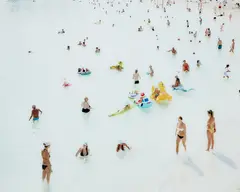 Animaletti 1 (#2024) by Massimo Vitali, 2004, Chromogenic print, printed 2022, face-mounted to Plexiglas, sold Apr 2023