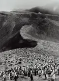 Sebastião Salgado, Chinstrap Penguins (Pygoscelis Antarctica), Deception Island, Antarctica