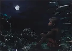 Moon #6 by Ruud van Empel, 2008, Dye destruction print, Diasec mounted, sold Apr 2023
