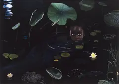 Moon #5 by Ruud van Empel, 2007, Dye destruction print, Diasec mounted, sold Apr 2023