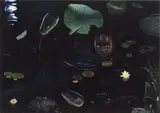 Ruud van Empel, Moon #5, 2007, Dye destruction print, Diasec mounted
