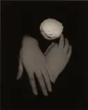Masao Yamamoto, Kawa = Flow #1639