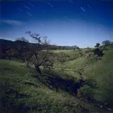 Darren Almond, Fullmoon@CalifornianOaks