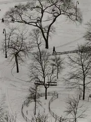 André Kertész, Washington Square, 1954, Gelatin silver print, printed later