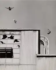 Kenneth Josephson, Illinois, 1958, Gelatin silver print