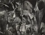 Paul Caponigro, Rock Wall #2, West Hartford, Connecticut