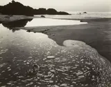 Brett Weston, Garrapata Beach, California