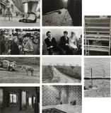 Elliott Erwitt, A Portfolio of Ten Photographs