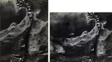 Minor White, Selected Images of Point Lobos
