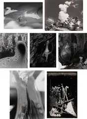 Selected Nature Studies by Minor White, 1958-1962, Seven gelatin silver prints, mounted, offered Apr 2023