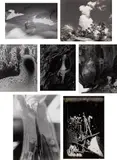 Minor White, Selected Nature Studies