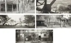 Lois Conner, Selected Images, 1984-1993, Five platinum prints