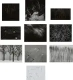 Harry Callahan, Suite of 10 Photographs from The Photographer and the American Landscape
