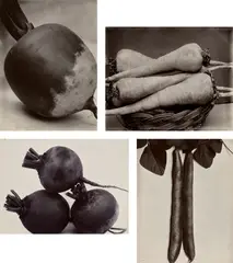 Charles Jones, Selected Studies of Vegetables, circa 1900, Four gold toned gelatin silver prints