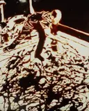 Action Photo, After Hans Namuth from Pictures of Chocolate by Vik Muniz, 1997, Dye destruction print, sold Apr 2023