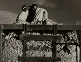 Dorothea Lange, Migratory Cotton Pickers, Eloy, Arizona