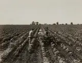 Paul S. Taylor with Farmer by Dorothea Lange, circa 1936, Gelatin silver print, offered Mar 2023