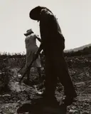 Alabama by Dorothea Lange, 1937, Gelatin silver print, probably printed 1950s, sold Mar 2023