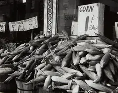 Corn, 1 Cent by Dorothea Lange, circa 1940, Gelatin silver print, probably printed 1950s, offered Mar 2023