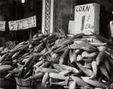 Dorothea Lange, Corn, 1 Cent