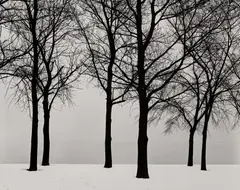 Chicago by Harry Callahan, 1950, Gelatin silver print, printed later, sold Oct 2023