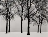 Harry Callahan, Chicago